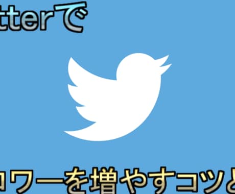Twitterのフォロワーを増やすコツ教えます SNS合計8000人フォロワーがいる人が教えます！ イメージ1