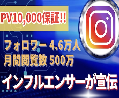 閲覧数10,000保証でインスタPR投稿します フォロワー4.7万&月間PV300万のインフルエンサーが宣伝 イメージ1