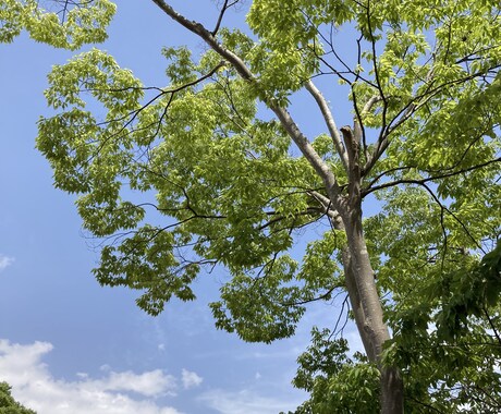 心が軽くなるお手伝いをいたします 話す事で、また前向きに生きることができます。 イメージ1