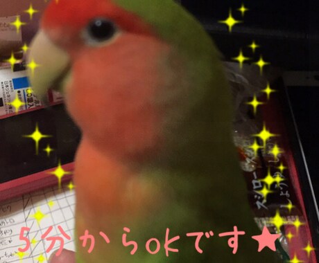 5分からOKフリートークします ちょっと人と話したい。なんか暇。どんなお話しでもOK5分～ イメージ2