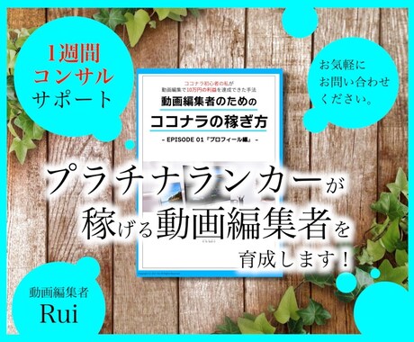 1週間コンサル！売れる動画編集者になる方法教えます 初心者でも実践できる【ココナラノウハウ】で活動をサポート！ イメージ1