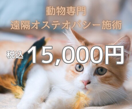 愛する家族（犬猫他）が元気になるよう遠隔施術します 遠隔オステオパシーで次元を超えて活き活きとした表情にします イメージ1