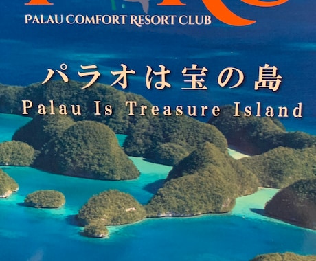 パラオ共和国への投資方法をおしえます 投資額が10年で2倍に。さらに額に比例して3倍に増えます イメージ1