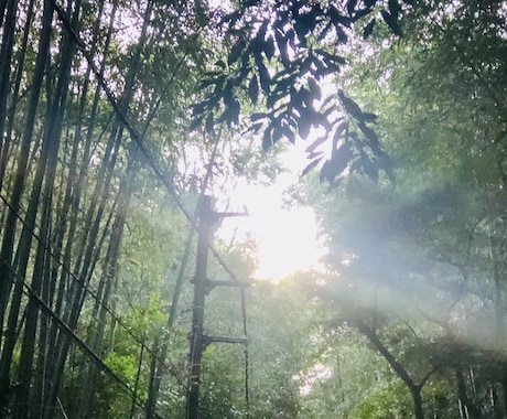 風景の素材や映像を撮影します 撮影内容については詳細を相談できます。 イメージ1