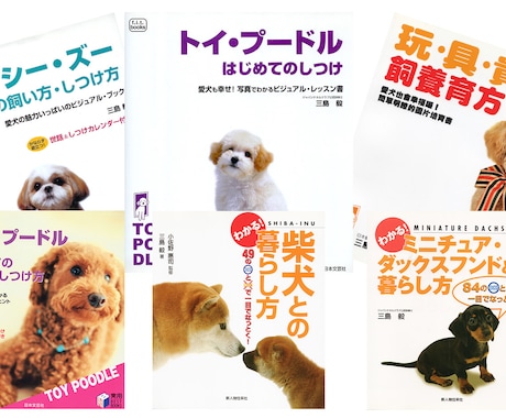 愛犬の困った！ミッシーの総合診療科で解決目指します 新規の相談者向け／【診断書】発行致します イメージ2