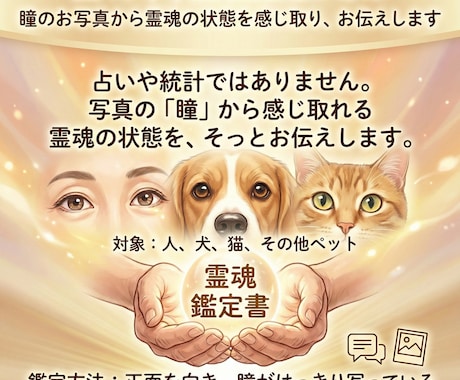 写真から目を見て人やペット霊魂を鑑定いたします 霊魂鑑定は人の魂のもつ特質や本性を読み解くための鑑定です。 イメージ1
