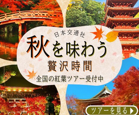 バナー・広告用画像をPhotoshopで制作します ビデオチャットで相談OK！丁寧に仕上げます イメージ2