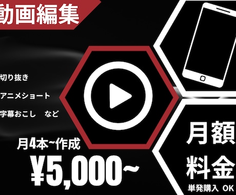 完全おまかせ★1ヶ月間、あなたのために動画作ります short尺おまかせ4本~/イラスト/文字起こし イメージ1