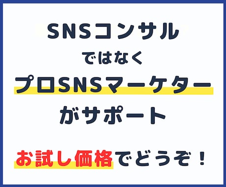 プロがあなたのSNS運用の問題点を指摘します 「SNS運用のプロがあなたの弱点を徹底分析＆改善提案」 イメージ1
