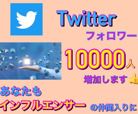 究極！Twitterフォロワー増加１万人増加します 気取りたい方や副業の目的の方必見サービスです。 イメージ2