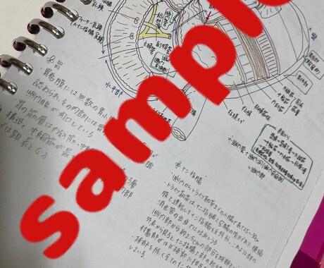 消化器外科手術手順書お渡しします 自己学習サポート！外科手術の理科深まる！ イメージ2