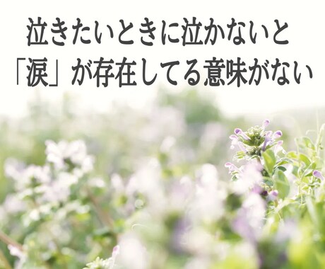 カサンドラ経験者のわたしが愚痴ききます 大人の発達障害の夫（妻）と分かり合えない…と苦しむあなたへ イメージ2