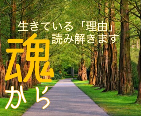 カードリーディングで、原因、状況を簡単に分析します 初心者歓迎！悩みの全体像をタロットやオラクルで読み解きたい方 イメージ1