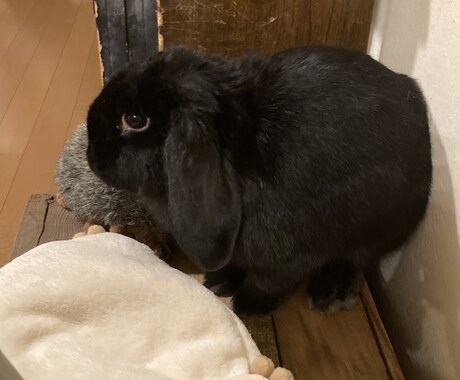 現役学生が下の目線から相談のります 買ってよかった。また話してたい。そう思えるよう努めます イメージ2