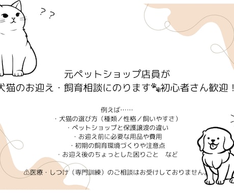 犬猫の飼育・お迎えに関する相談乗ります 初めての犬猫お迎え前の不安をまるごとサポート！ イメージ1