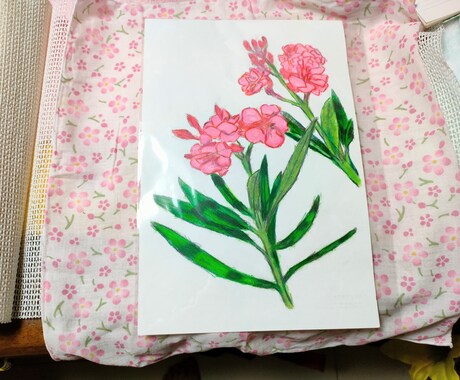 デッサンします 色鉛筆デッサンで、お花の絵をデッサンします。 イメージ2