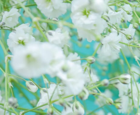 主婦の方のお悩みに寄り添います その不満や不安、夢や希望に変える方法をお教えします！ イメージ1