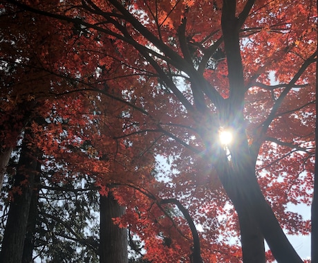 育児の悩み誰にも言えず悩んでませんか？占います 育児専門です。誰にも相談できないお話伺います。 イメージ1