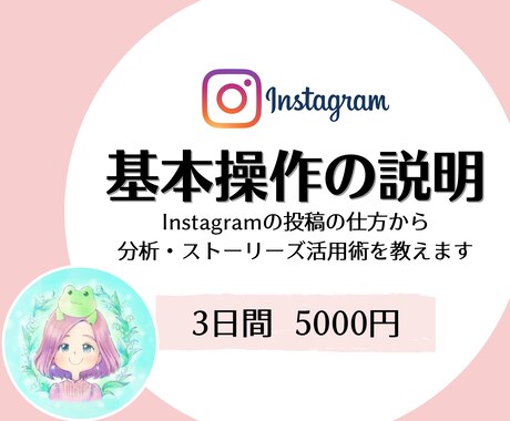 Instagram基本操作を3日間、教えます 初心者大歓迎！操作や分析、稼ぎ方、運営方法など イメージ1