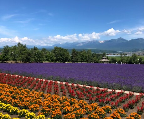 道外の人が、北海道でしかできない旅行プラン考えます 道外からの北海道の魅力を感じれるプランを作成できます。 イメージ2