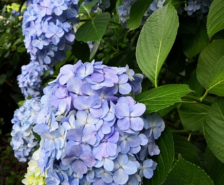 育休中主婦がお悩み（仕事、家庭、恋愛、）を聞きます どんな小さなお悩みでも気軽に話して下さい(^o^) イメージ1