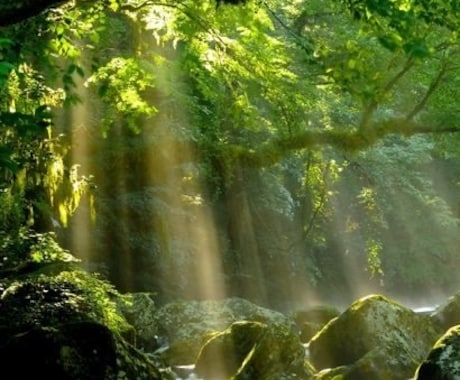 頭・心・身体を一気に軽く遠隔浄化ヒーリング致します 本来の波動に戻る浄化ヒーリング、頭・心・身体のトータル浄化 イメージ2