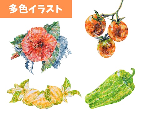 カラーペンで植物・果物・野菜イラスト描きます 〜アイコンや様々な制作物の挿絵に(アナログイラスト)〜 イメージ2