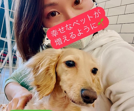オンラインしつけ相談をします ペットとより良い暮らしに！しつけ教室の前にご相談ください！ イメージ2