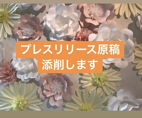 現役広報がプレスリリースの添削をします BtoC広報を始めたい方におすすめ！ イメージ1