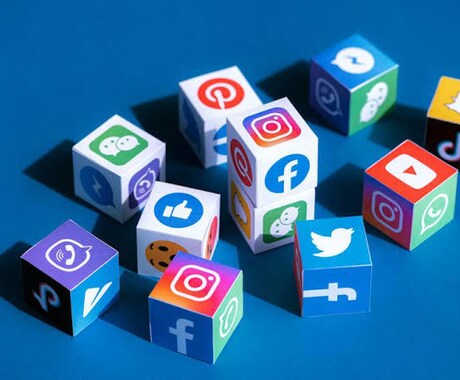 SNS運用いたします sns運用に付随する業務、フォロワー、再生回数など イメージ1
