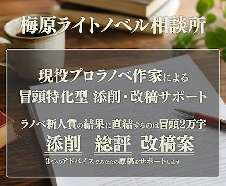 現役プロ作家があなたのラノベ執筆をサポートします ライトノベルの新人賞で超重要な冒頭部分を具体的に集中添削！ イメージ1