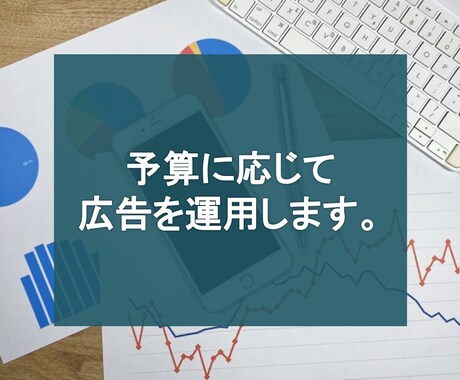 WEB広告を運用したい方へ！広告運用を代行します WEB広告の運用実績多数！売れる広告文に改善していきます イメージ1