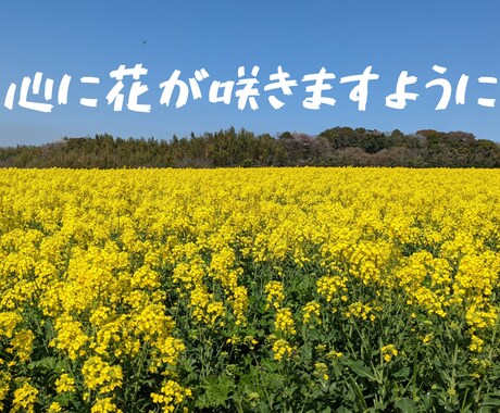 あなたが今お話ししたいその気持ち、私がお聞きします 悩み・愚痴・不安・自慢話・誰かと話したい、何でも大丈夫です！ イメージ2