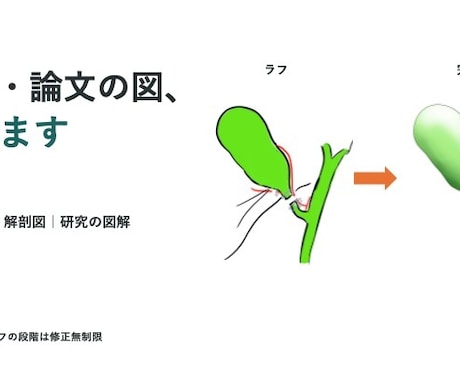 医療イラスト｜学会・論文用の術式・解剖図を描きます イメージ1