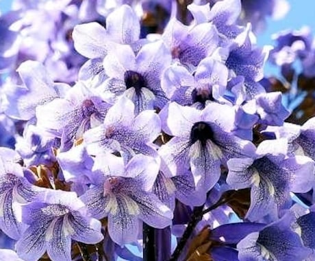 萬相談や傾聴・話し相手します 日常の事から、スピリチュアルに関することまで気軽にトーク イメージ1