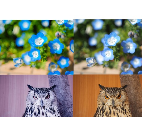 SNSや記念に。お写真の「色味補正」承ります いつものお写真を少し変えてみませんか イメージ2