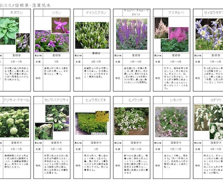 お庭の環境とイメージにマッチした植物を選定します お庭に植える植物選びにお困りの方へ イメージ2