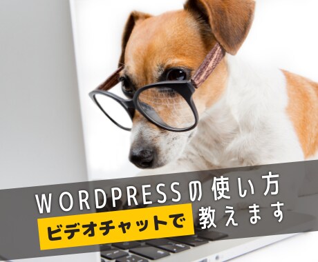 ビデオチャットでワードプレスの使い方を教えます ワードプレスの操作方法・カスタマイズのやり方が分からない方へ イメージ1