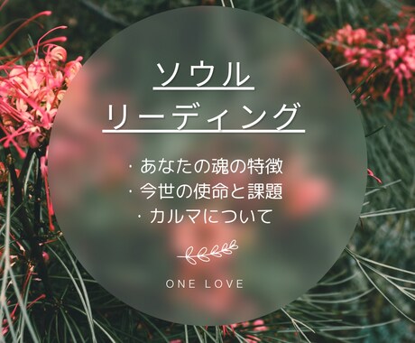 ソウルリーディング　魂の特徴と宿命・使命をみます 個性を輝かせるヒントに！現在のオーラの状態もリーディング。 イメージ1