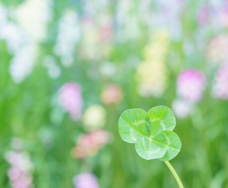 60分チャット悩み・愚痴・相談✨優しく寄り添います 秘密厳守！大丈夫ですか？お話聞きます。一緒に考えましょう☘️ イメージ2