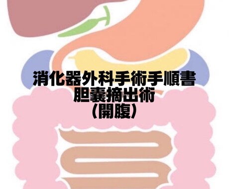 消化器外科手術手順書お渡しします 新人看護師/指導者/手術室看護師/胆嚢摘出術 イメージ1