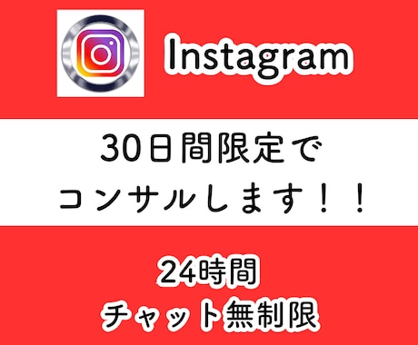 30日間限定！！インスタのコンサルをします ｜１万フォロワー達成者が無制限でチャットします！！ イメージ1