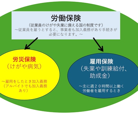 会社設立し人を雇用した時の労働保険の手続き行います 社労士が迅速・相談のしやすさを大事にしています イメージ1
