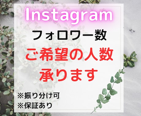 Instagramのフォロワー数を増やします 【期間限定価格】1,000人～・12時間以内に増加開始 イメージ1