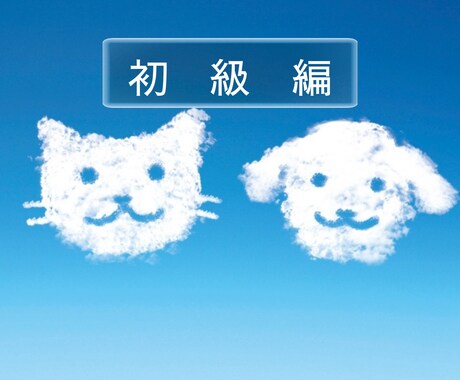 わかりやすいタイプ診断で4つのタイプに診断します チェックシートでのタイプ判別後診断をPDFにて送付いたします イメージ1