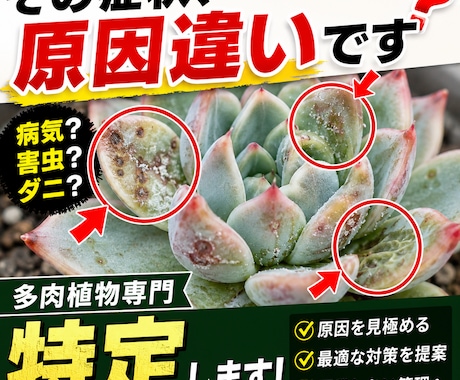 多肉専門　病気・害虫・ダニ診断と防除設計します その症状、“原因違い”のまま対処していませんか？ イメージ1