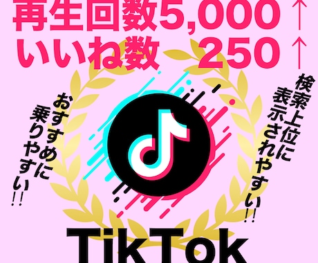 TikTok再生数5000＋いいね250伸ばします ティックトック再生回数といいねが同時に増えるよう拡散 イメージ1