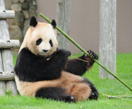 中国語（繁体字）の日常会話を翻訳、紹介します 台湾在住日本人が実際に現地で使える中国語を紹介 イメージ1