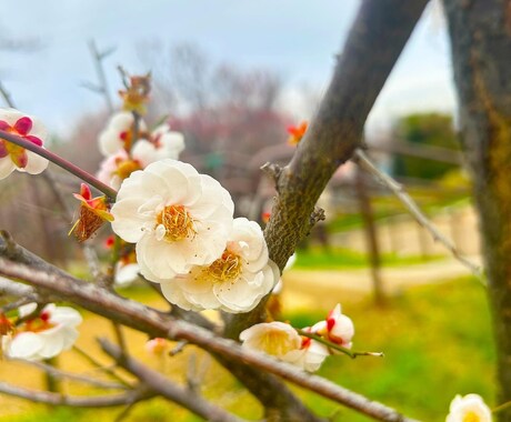 嫌な上司、腹立つ同僚への愚痴聞きます 心の重りを少しでも軽くするお手伝いをさせてください イメージ2