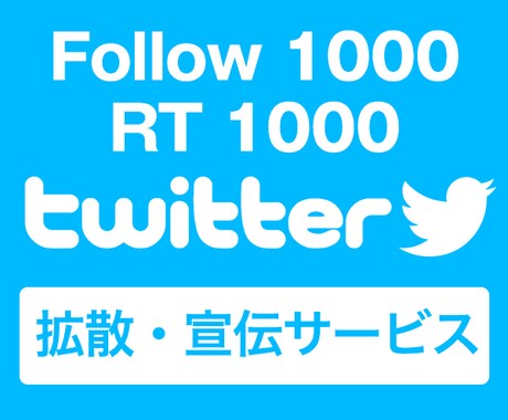 女性twitterフォロワー＆RT1000にします twitterプロモーションの施策をお教えします！ イメージ1
